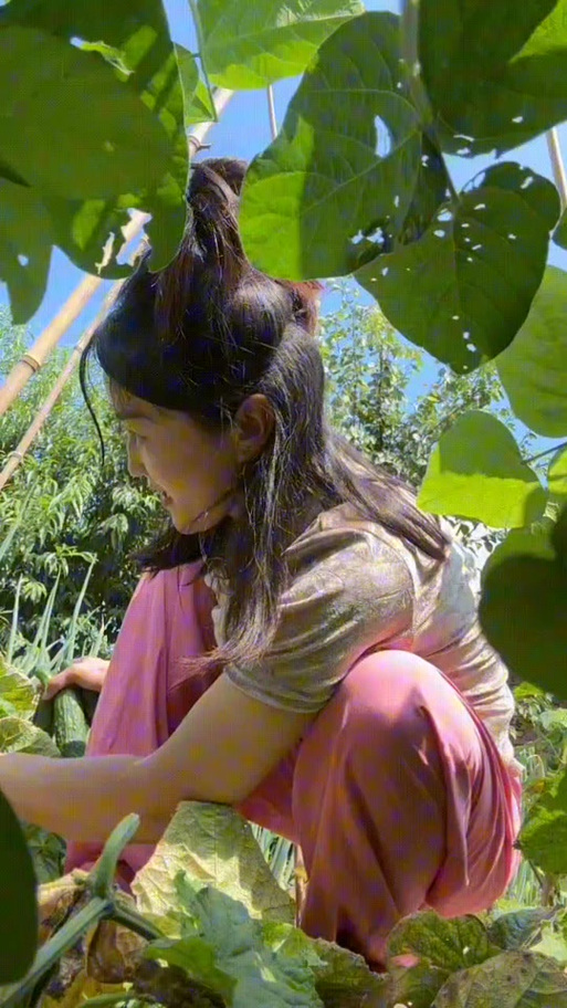 电视剧岁月如金剧情介绍 电视剧岁月如金剧情介绍