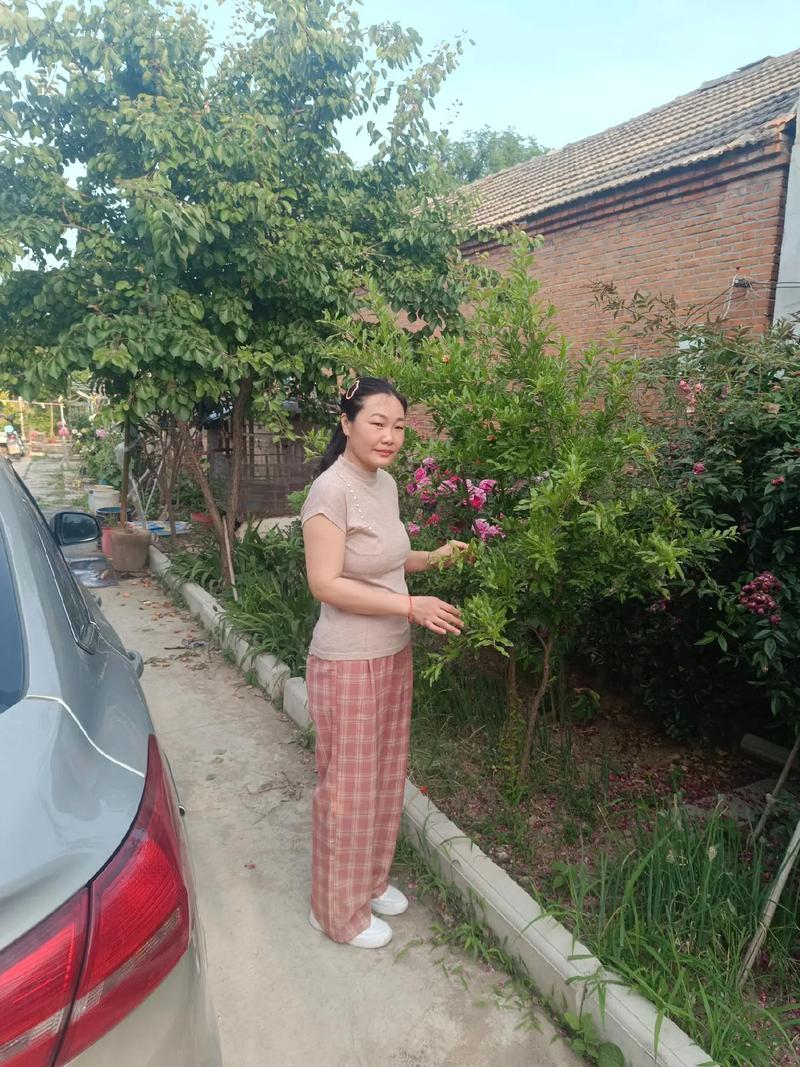 金星是男是女的个人介绍 金星是男是女的个人介绍