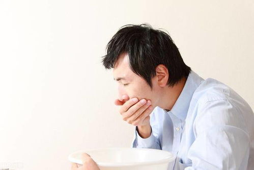 所管理条例2025 所管理条例2025