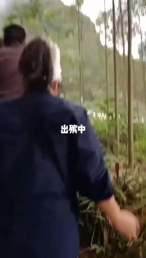 宝鸡中北职业学院 宝鸡中北职业学院