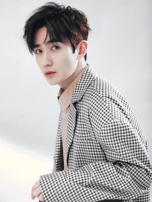 成也萧何败也萧何说的是谁的经历