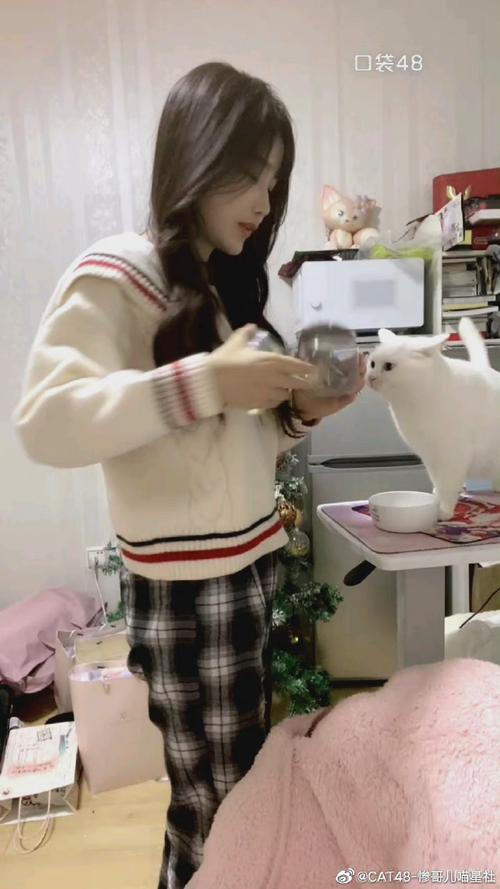 何炅栀子花开 何炅栀子花开十周年歌迷纪念版 何炅栀子花开 何炅栀子花开十周年歌迷纪念版