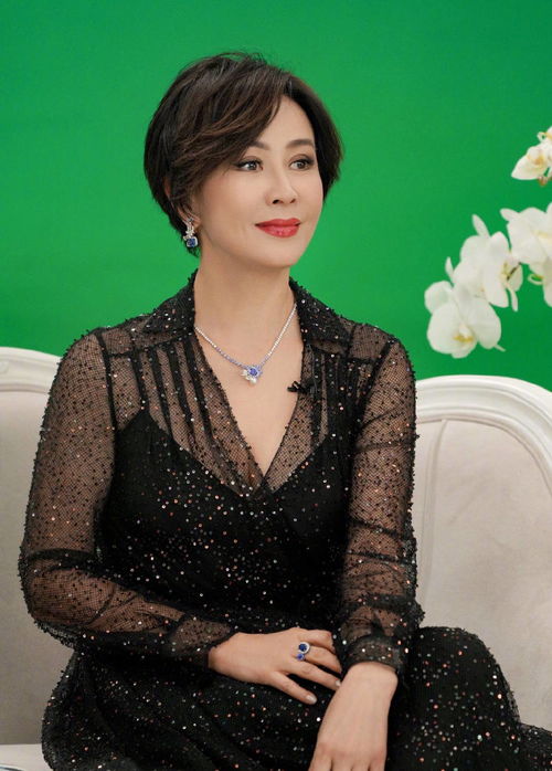 城里的月光歌词 城里的月光歌词表达 城里的月光歌词 城里的月光歌词表达