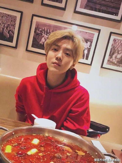 央媒为什么从不提缅北诈骗