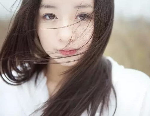 三年级中秋节手抄报 三年级中秋节手抄报