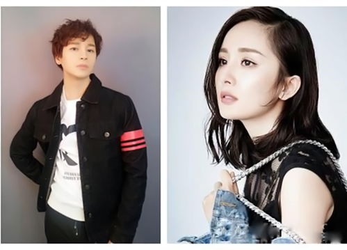 梁咏琪哪国人 梁咏琪属于什么类型