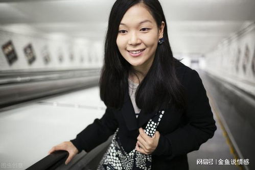 金善雅车胜元 金善雅车胜元