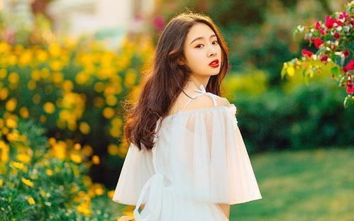 靳东宋佳主演的电视剧