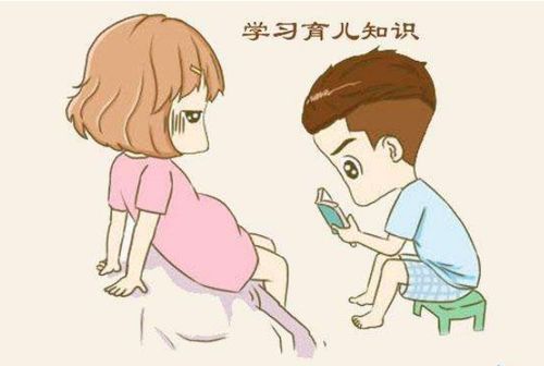 孔孝真和赵寅成主演的电视剧 孔孝真和赵寅成主演的电视剧