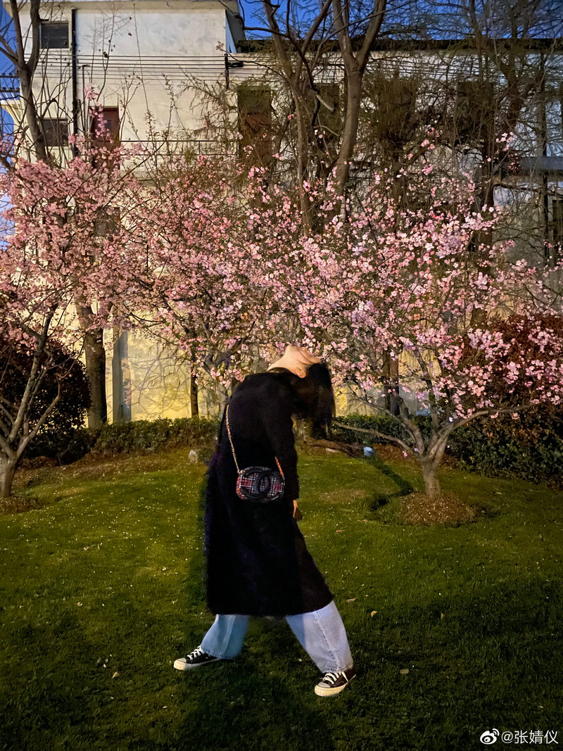 林心如霍建华现状如何