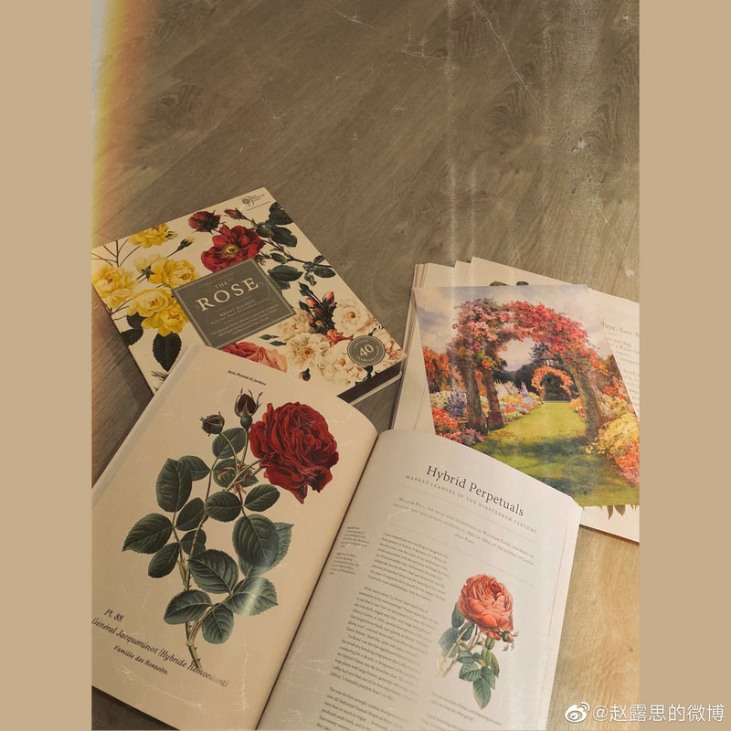 演员王挺简历_电影演员王挺简历