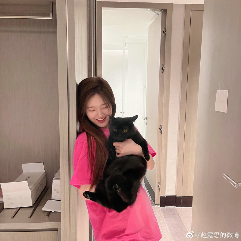 古筝音乐十大经典 古筝15首最好听歌曲 古筝音乐十大经典 古筝15首最好听歌曲