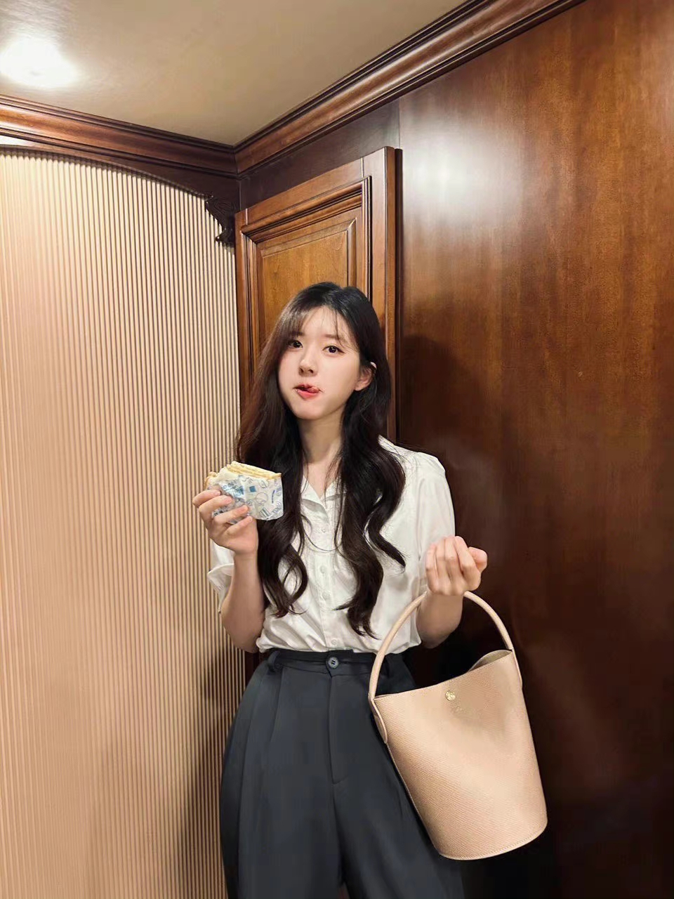 蜘蛛属于昆虫吗 蜘蛛属于昆虫吗