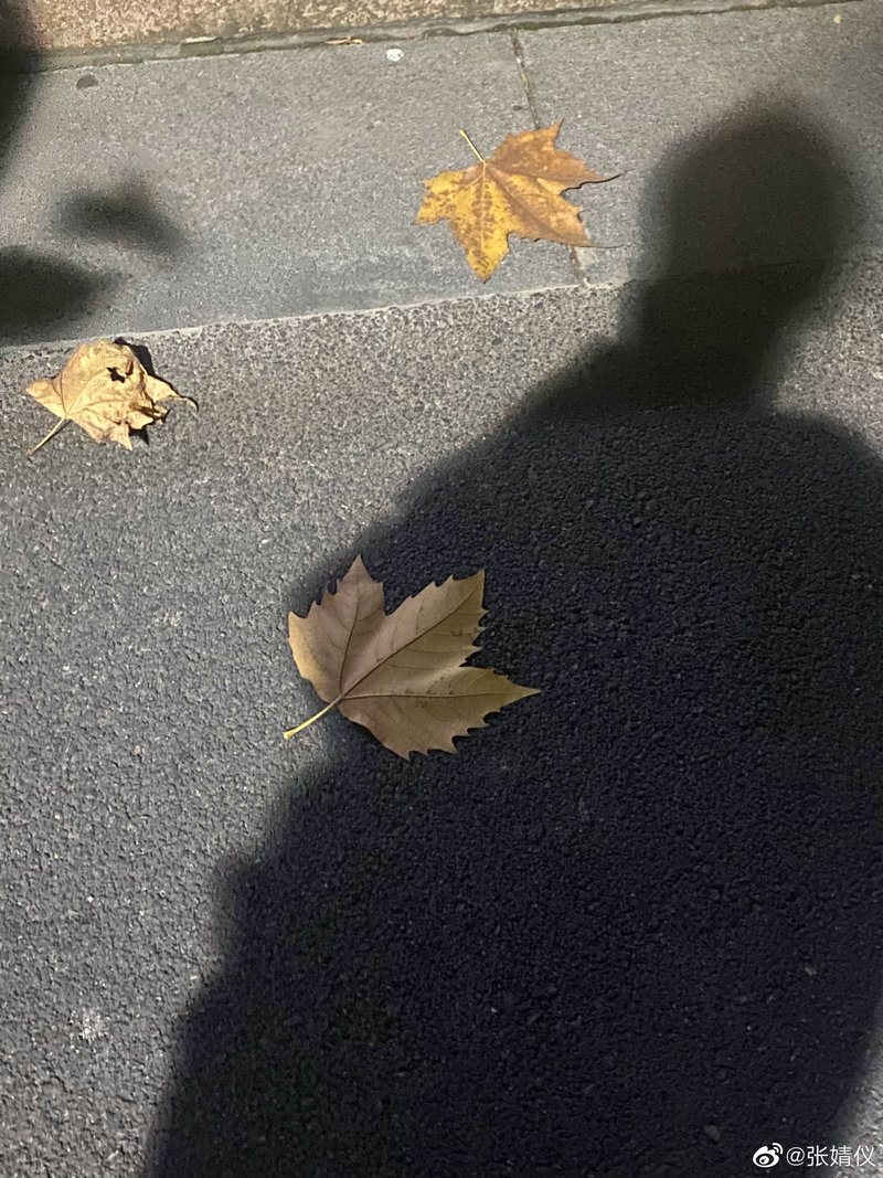 王祖蓝身高_王祖蓝身高多少老婆身高多少